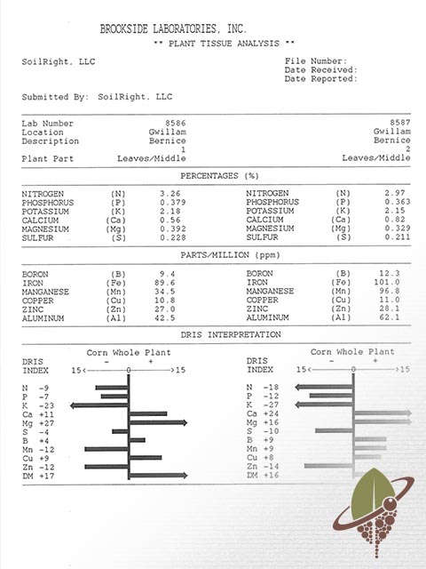 SoilRight Reporting